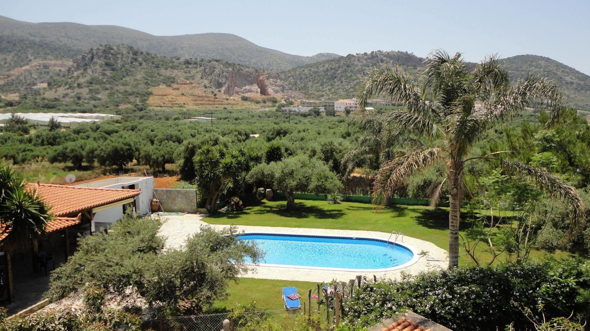Ibiscus Hotel Malia Buitenkant foto